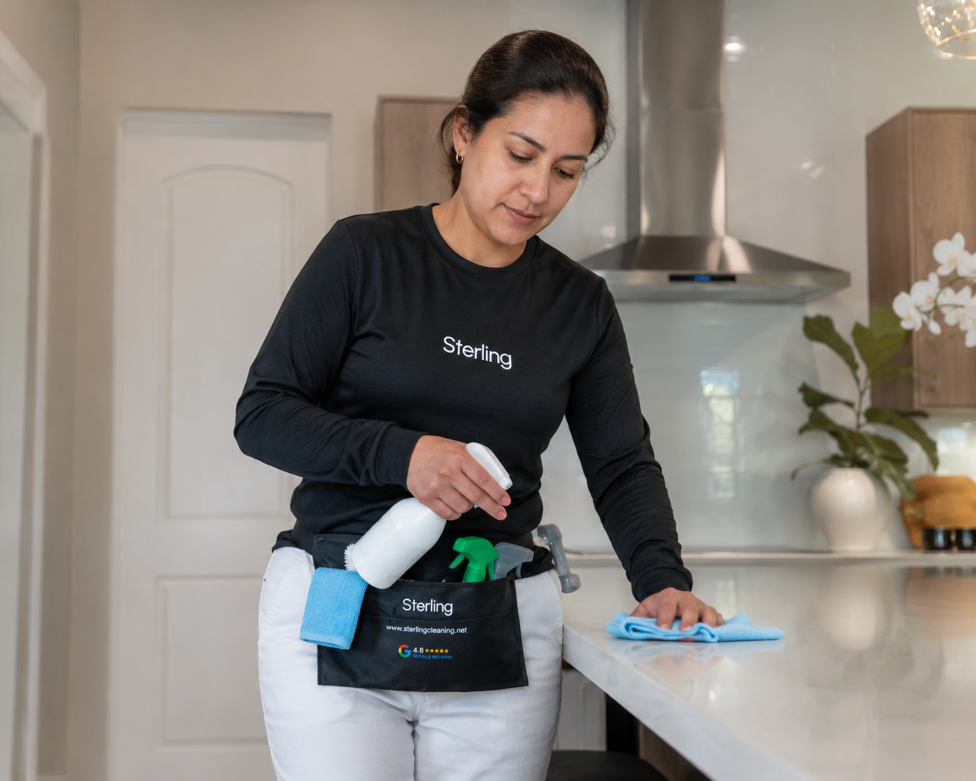 Sterling cleaning professional cleaning a kitchen counter